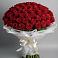 Букет 101 Красная роза Блэк Мэджик в Марках