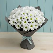 Букет цветов из:  Хризантемы #REPLACE_PRED# Марках