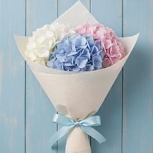 Букет цветов из:  Гортензия в Марках