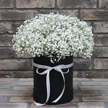 Цветочная композиция из Гипсофила в шляпной коробке #REPLACE_PRED# Марках