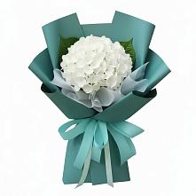 Букет цветов из:  Гортензия в Марках